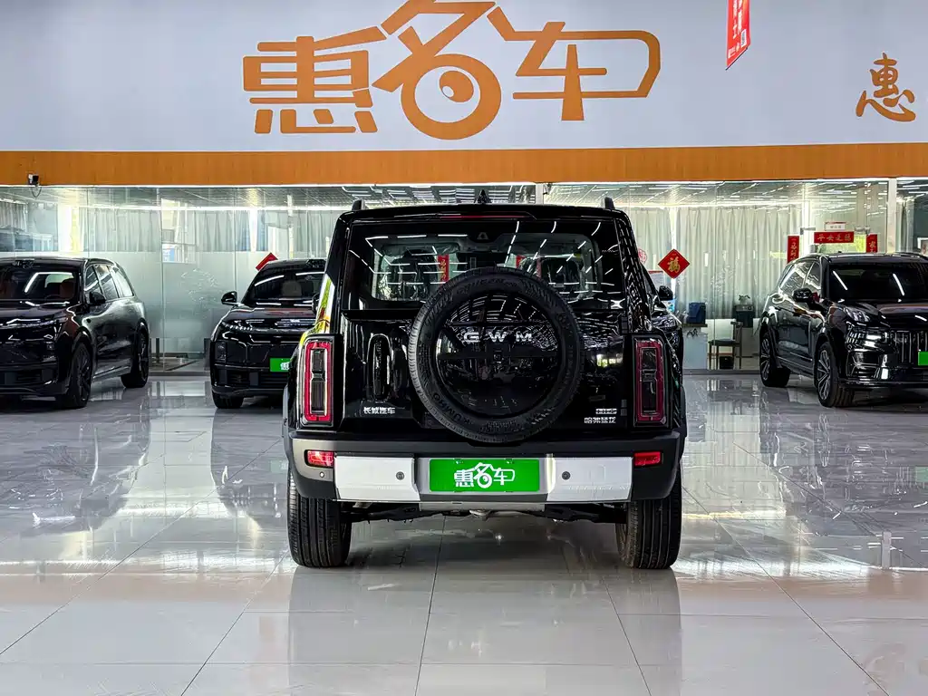 Haval Menglong New Energy — миниатюра 23