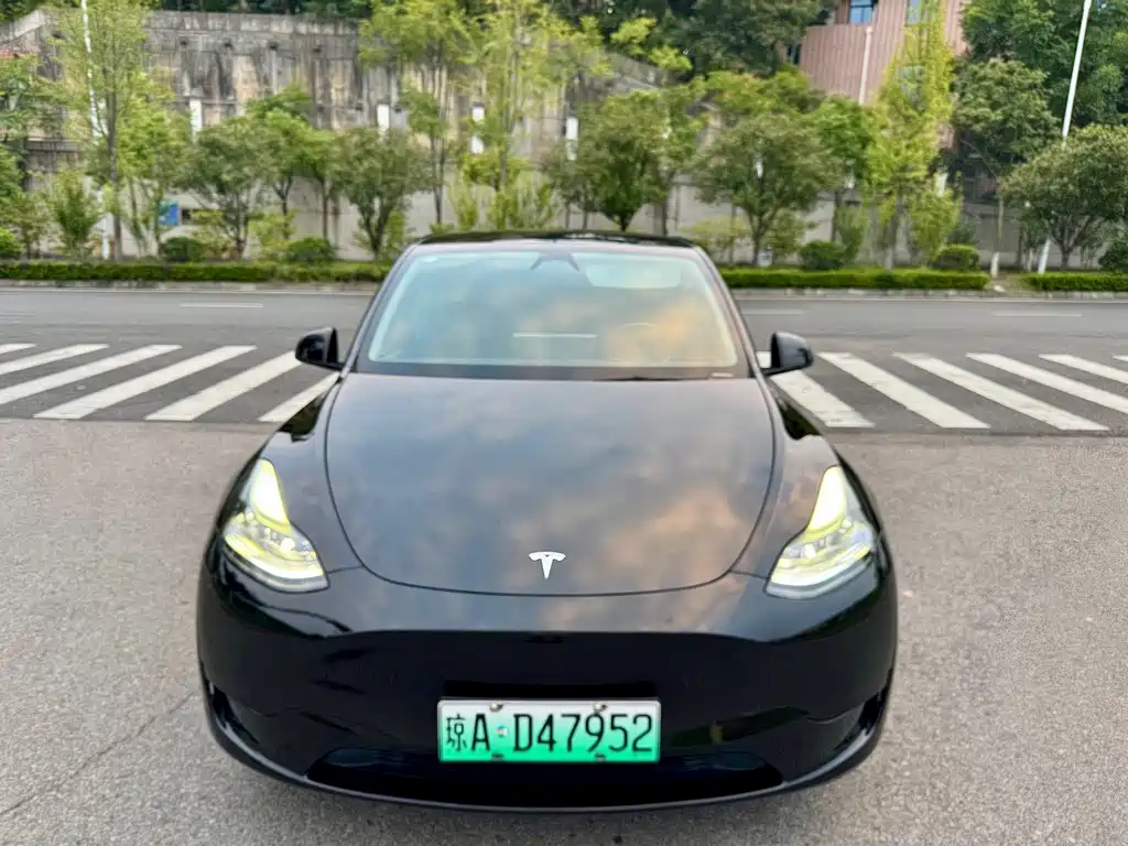 Tesla Model Y — миниатюра 3