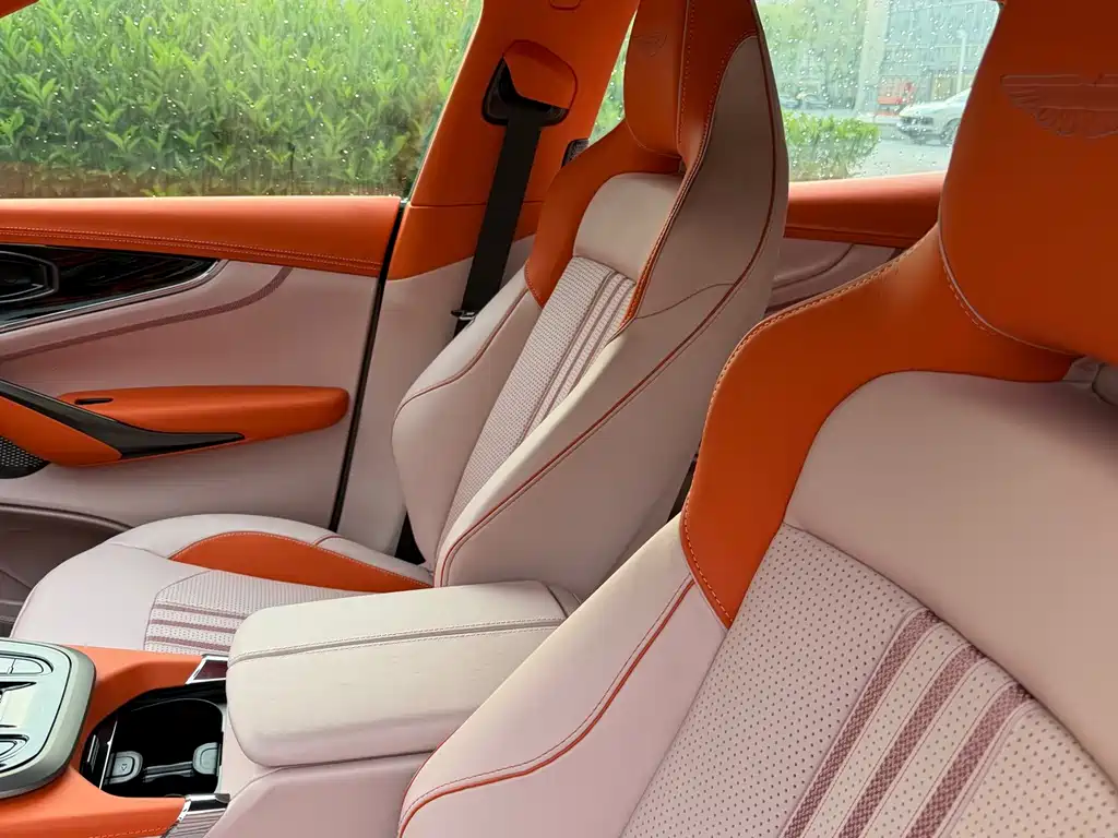 Aston Martin DBX — миниатюра 5