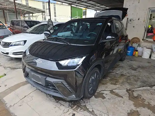 2024 BYD Seagull