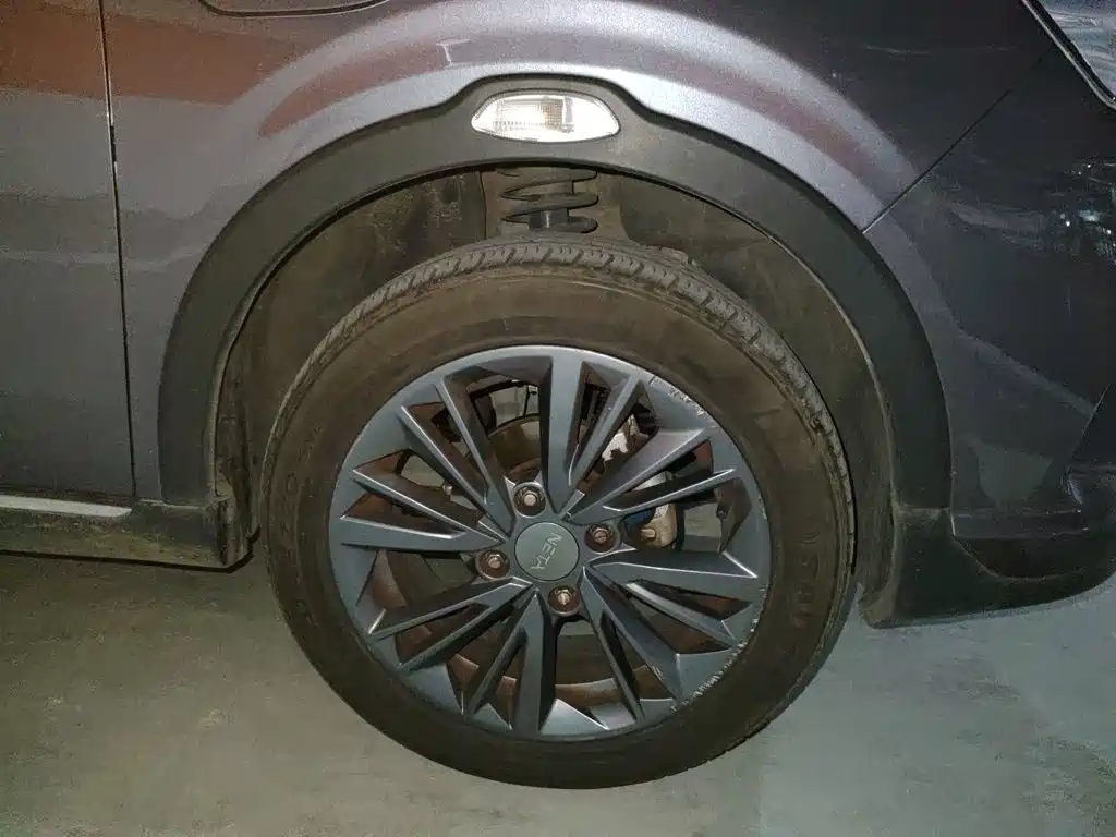 Neta Neta V — миниатюра 21