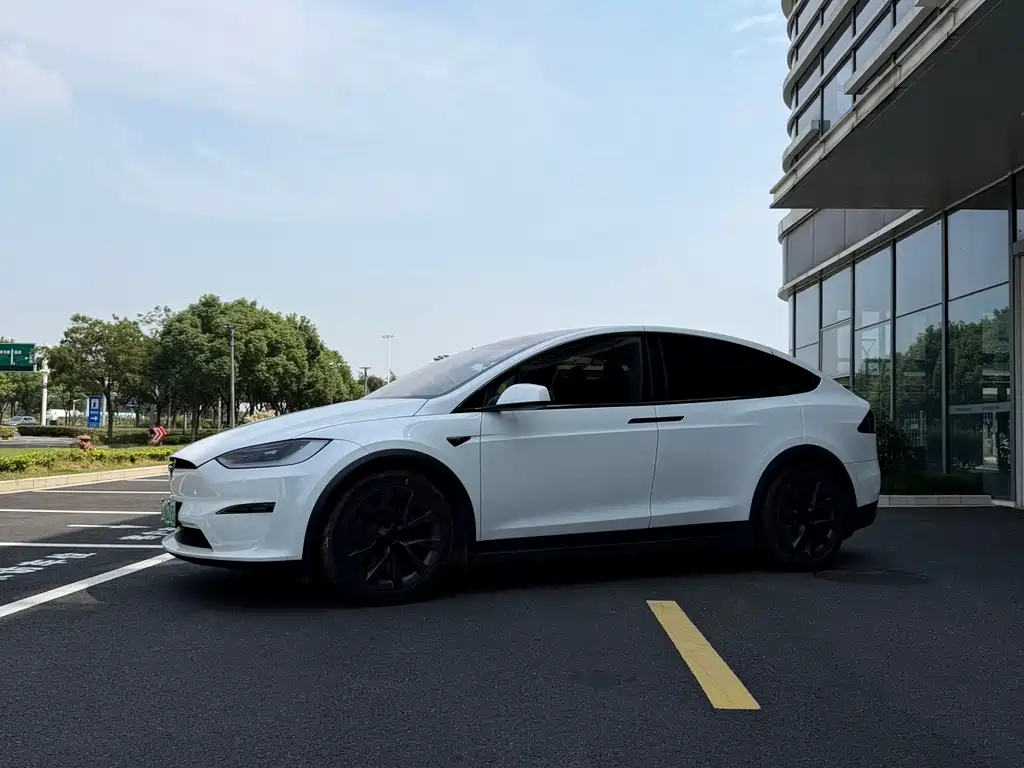Tesla Model X — миниатюра 2