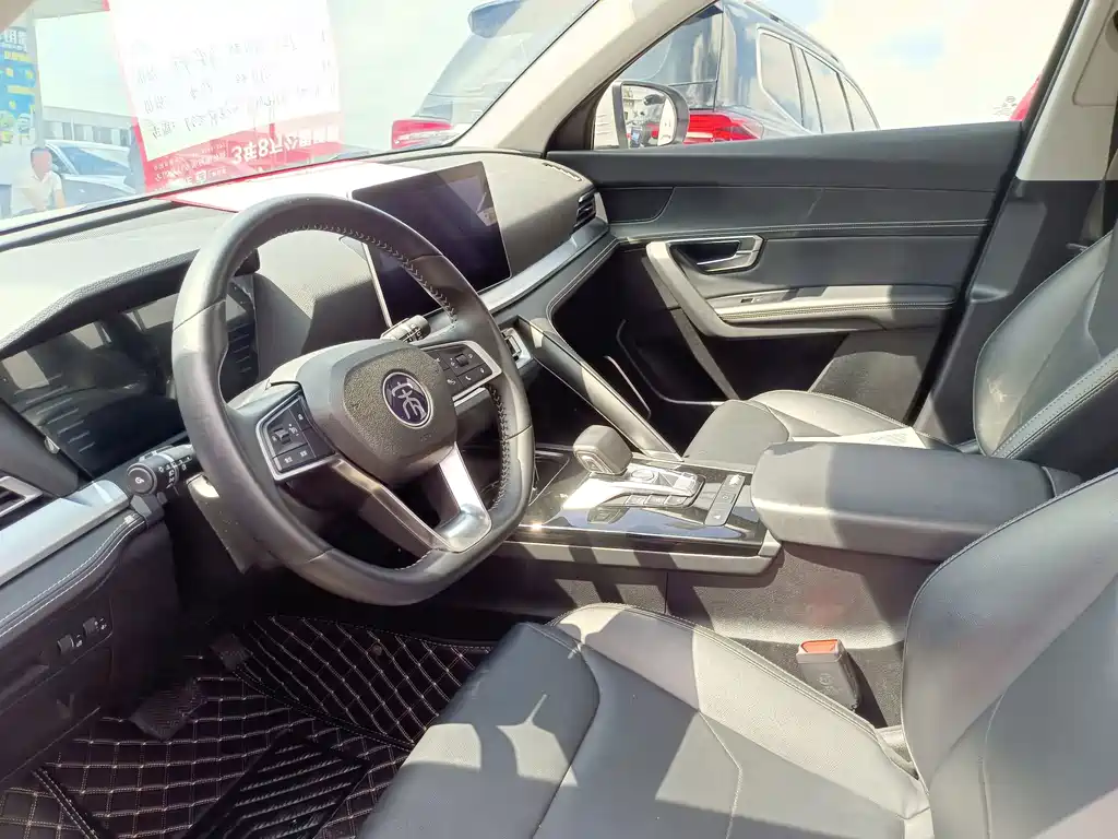 BYD Pro — миниатюра 4