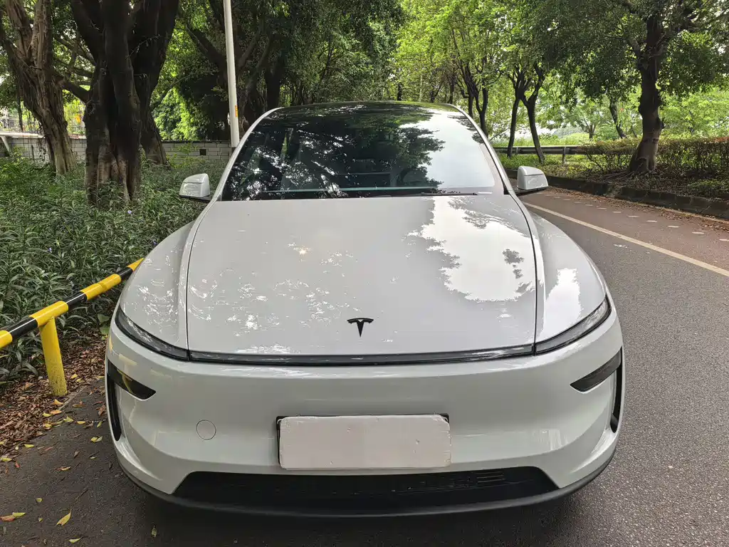 Tesla Model Y L — миниатюра 2