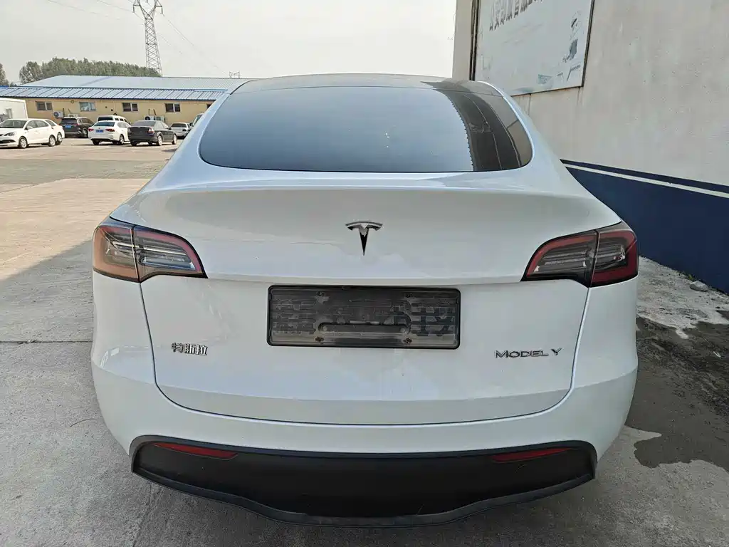 Tesla Model Y — миниатюра 5