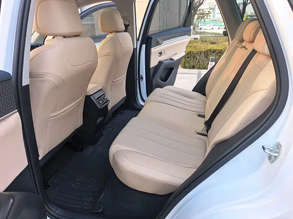 BYD SONGJIANG NEW ENERGY