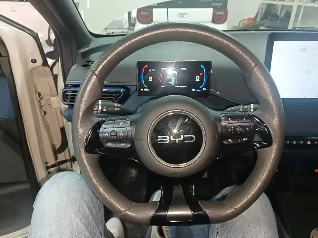 BYD Seagull — миниатюра 11