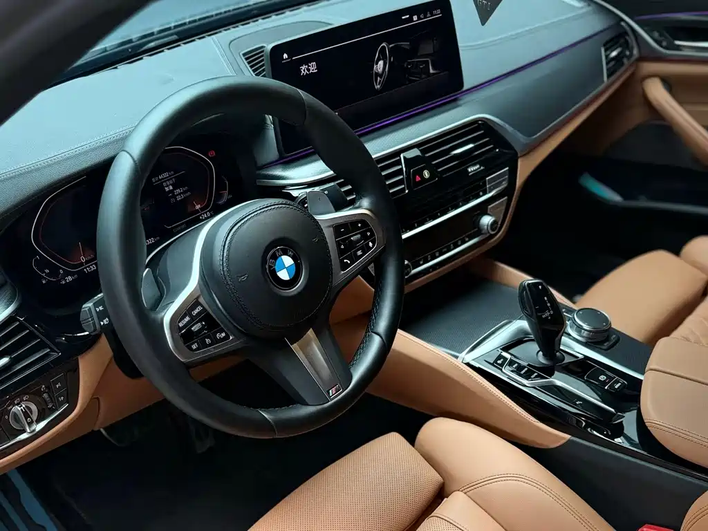 BMW 5 Series (Import) — миниатюра 7