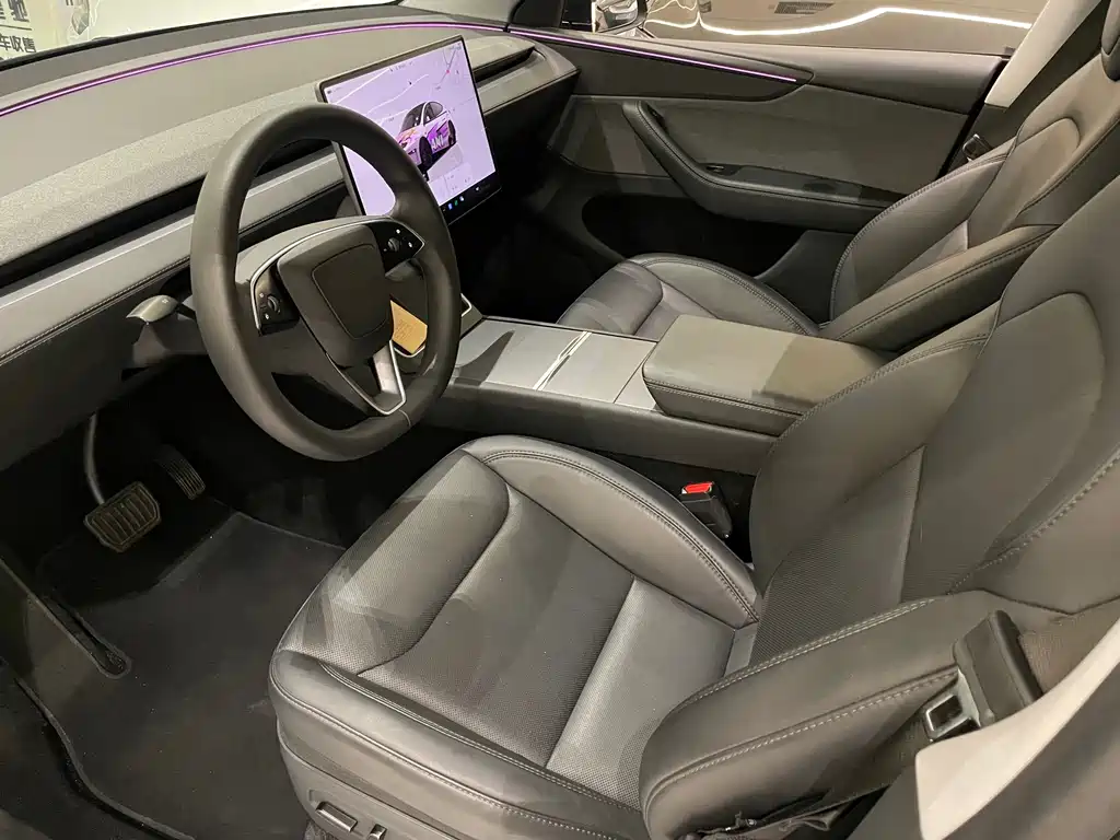 Tesla Model Y — миниатюра 6