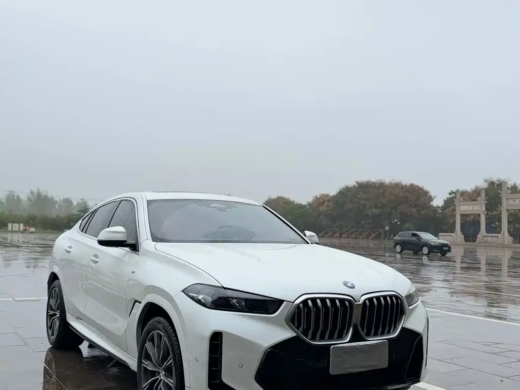 BMW X6 — фотографии объявления, Фото 6
