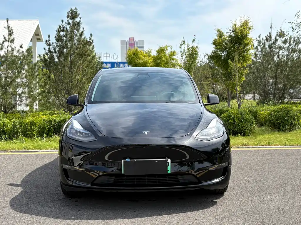 Tesla Model Y — миниатюра 2
