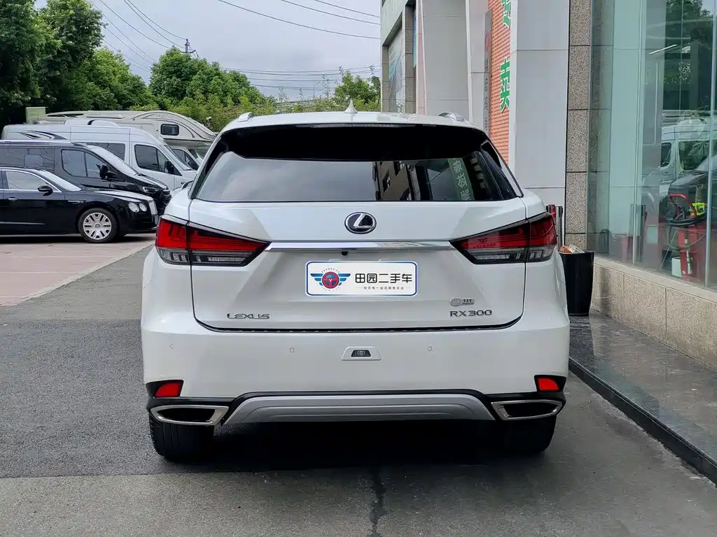 Lexus RX — миниатюра 5