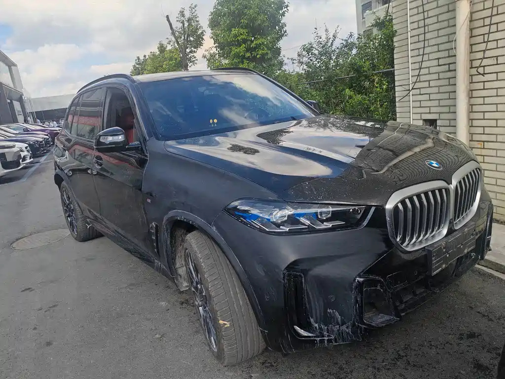 BMW X5 — миниатюра 3