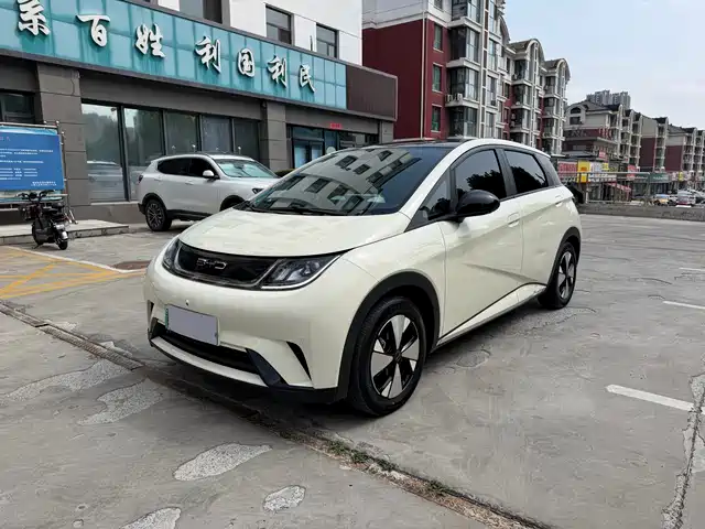 2024 BYD Dolphin