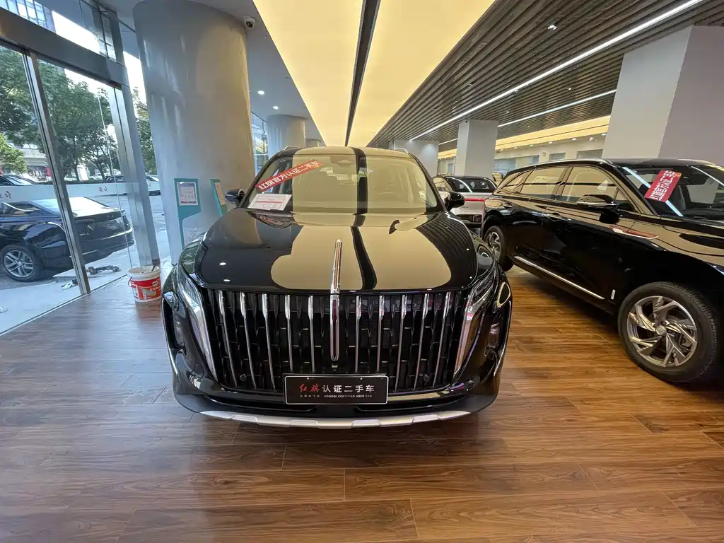 Hongqi Hongqi HS7 PHEV — миниатюра 2