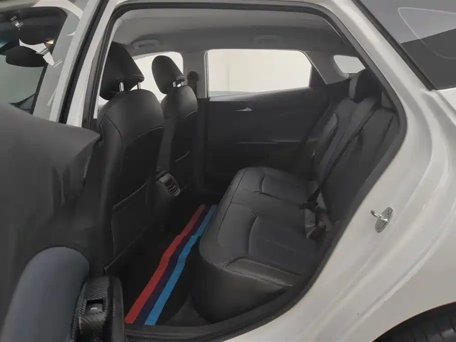 BUICK SLIGHTLY BLUE 6