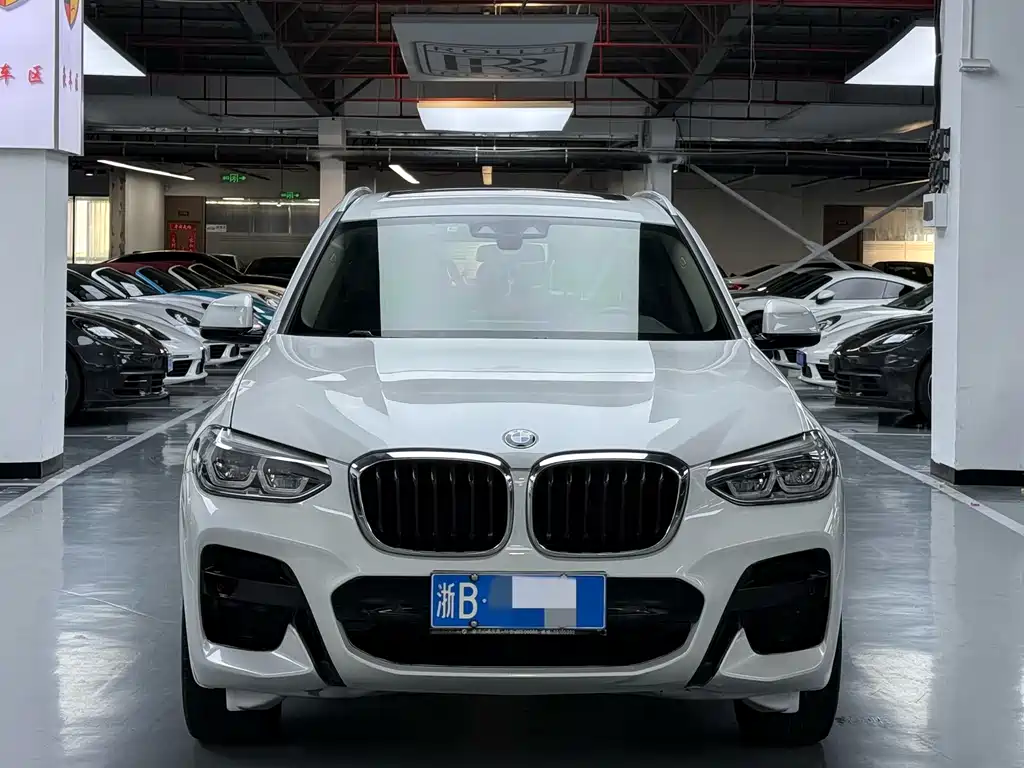 BMW X3 — миниатюра 2