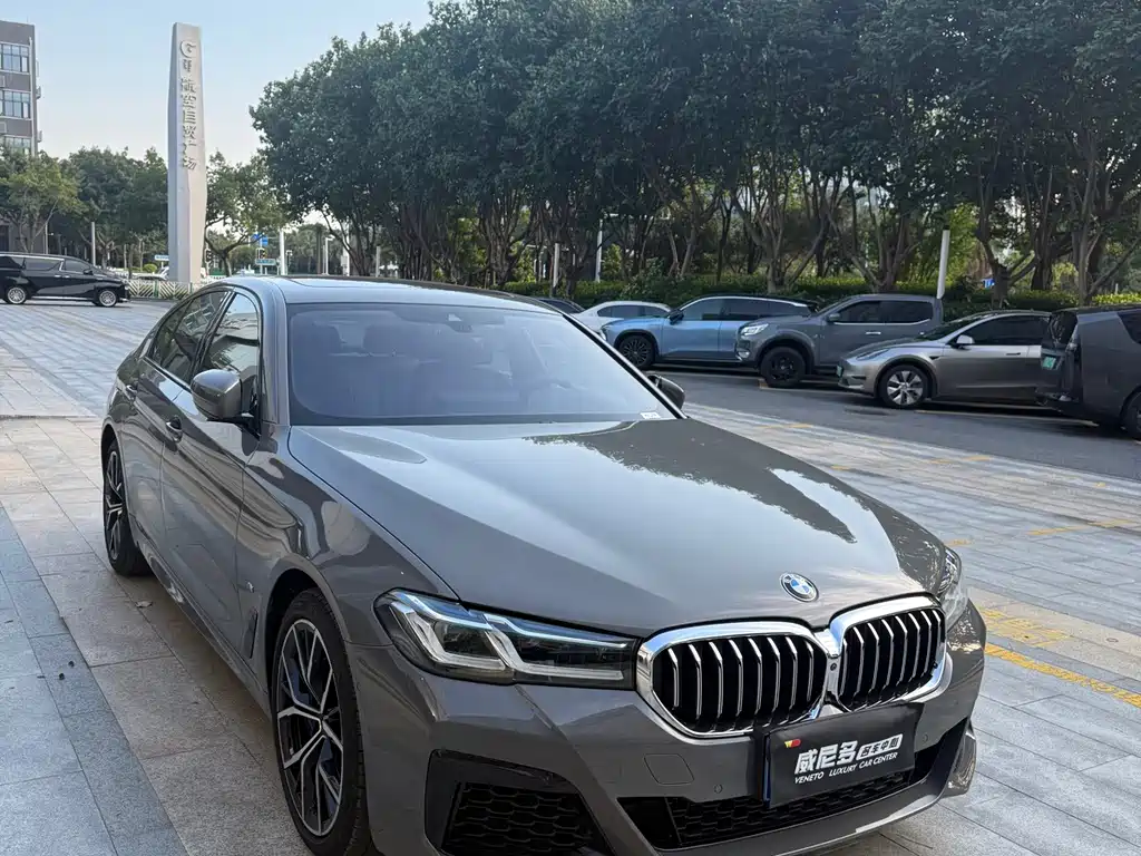 BMW 5 Series (Import) — миниатюра 8