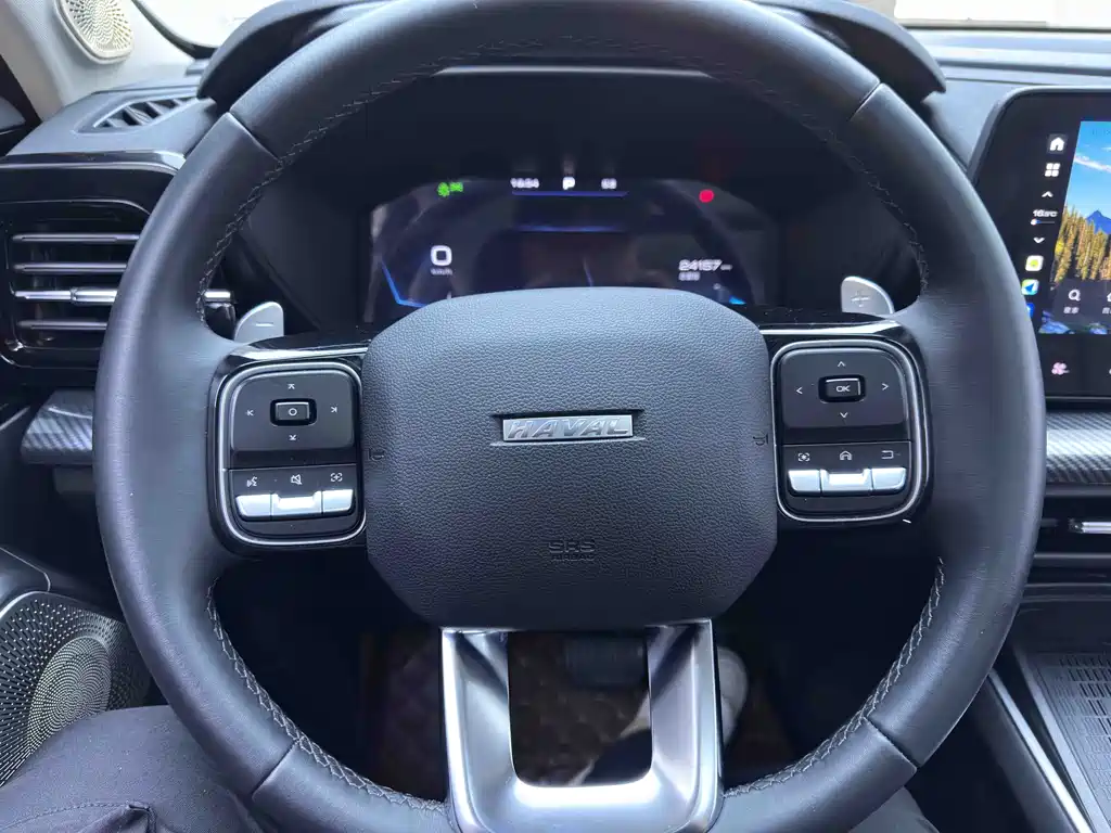 Haval Cool Dog — миниатюра 17