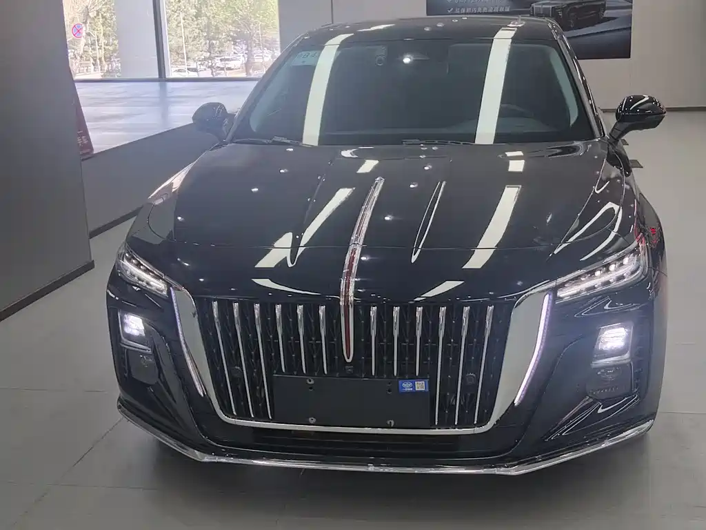 Hongqi H5 2024 2.0T AT