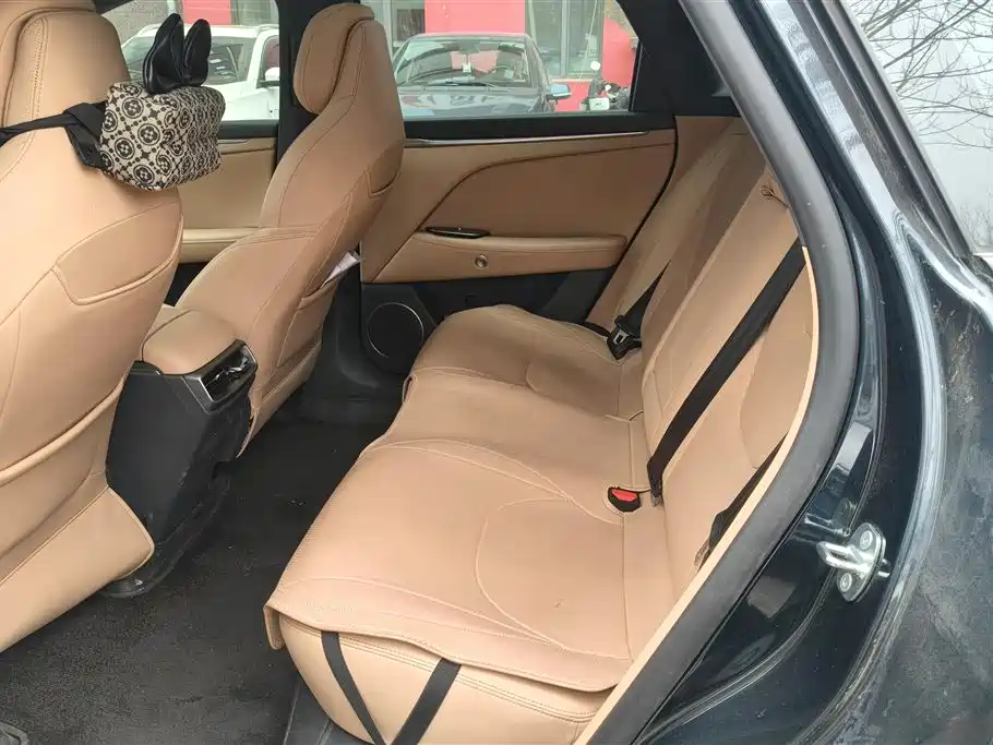 ARCFOX EXTREME FOX POLAR FOX ALPHA T5