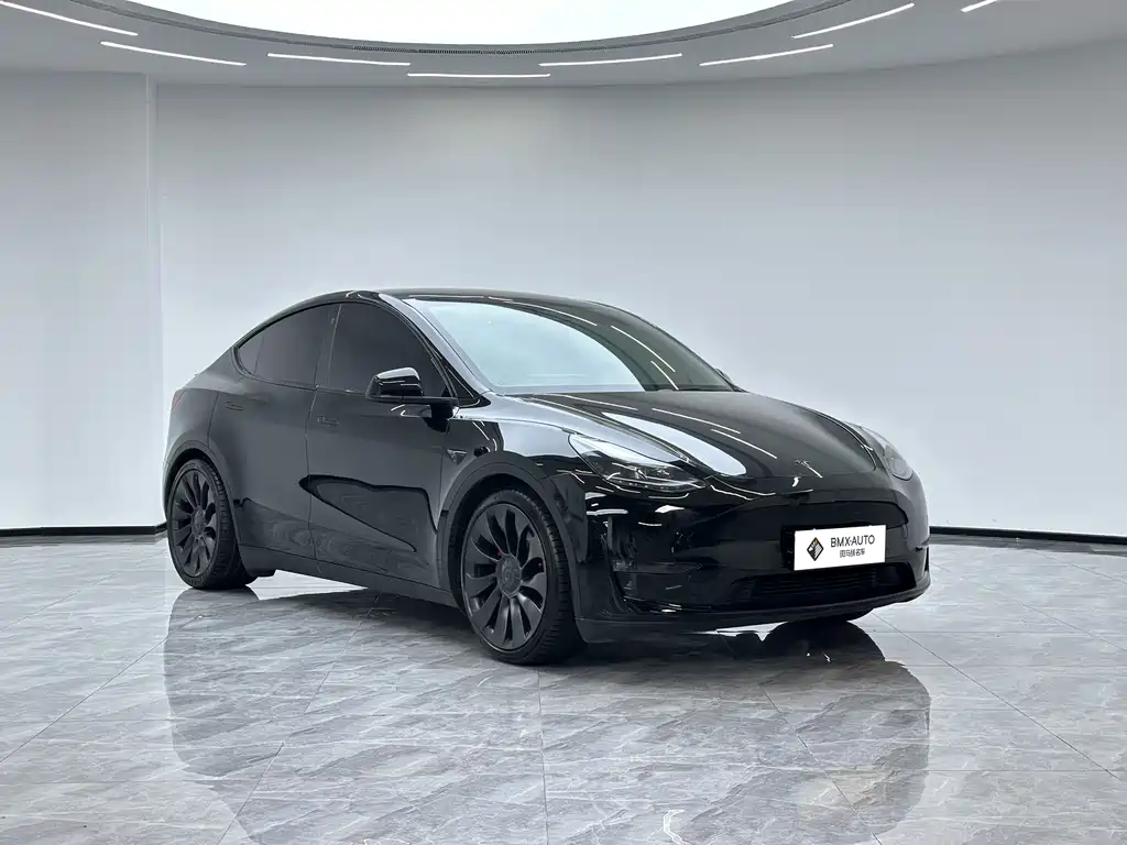 Tesla Model Y — миниатюра 4
