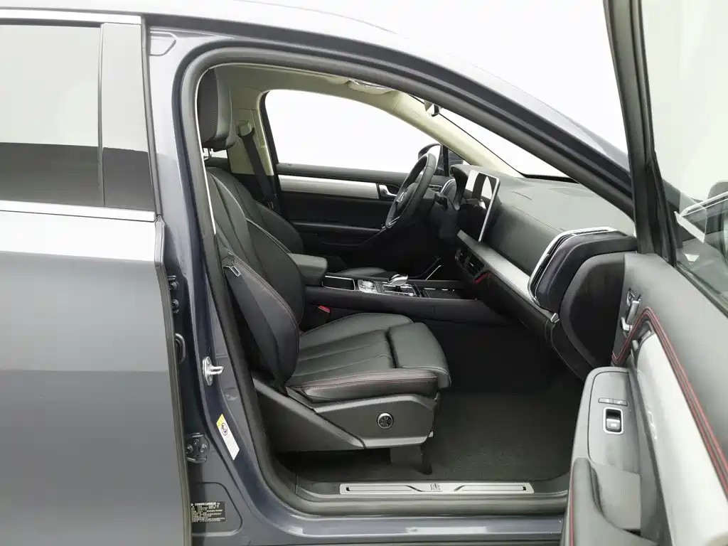 BYD Tang New Energy — миниатюра 23
