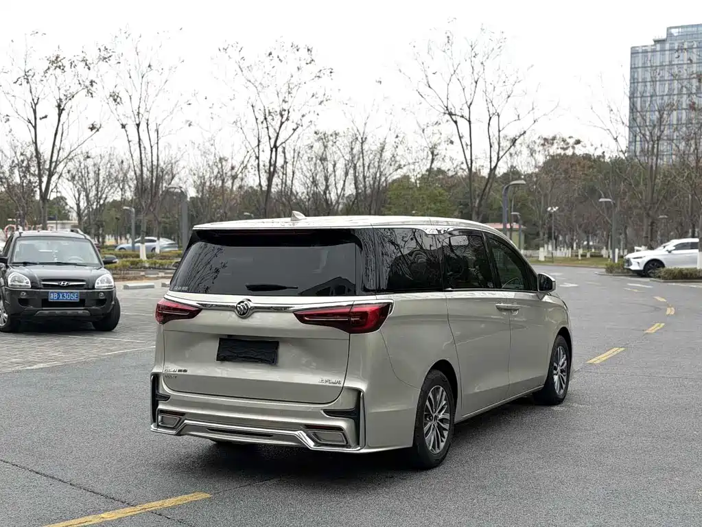 Buick GL8 — миниатюра 13