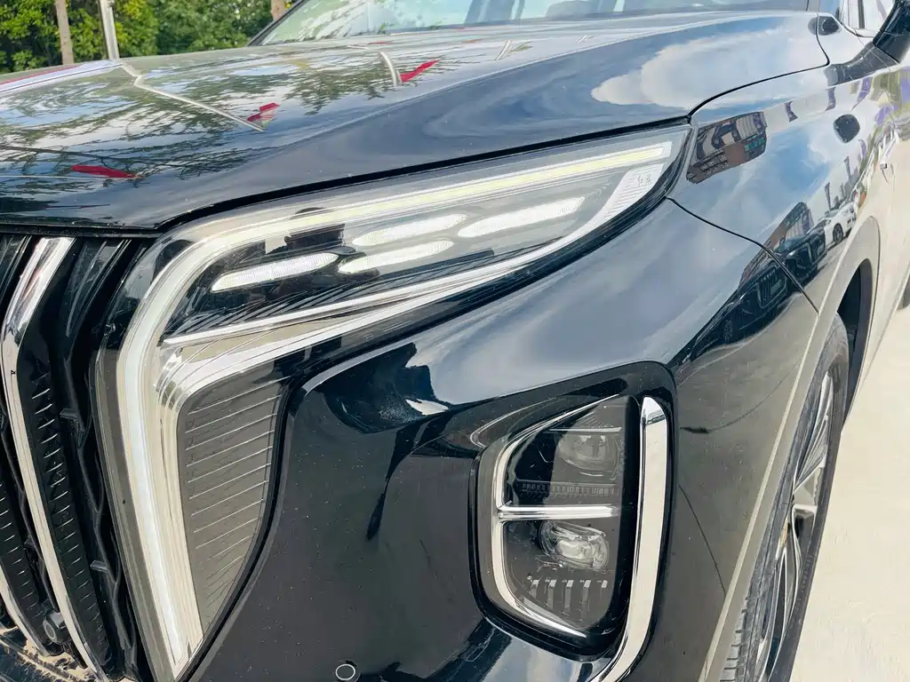 Hongqi Hongqi HS7 PHEV — миниатюра 5