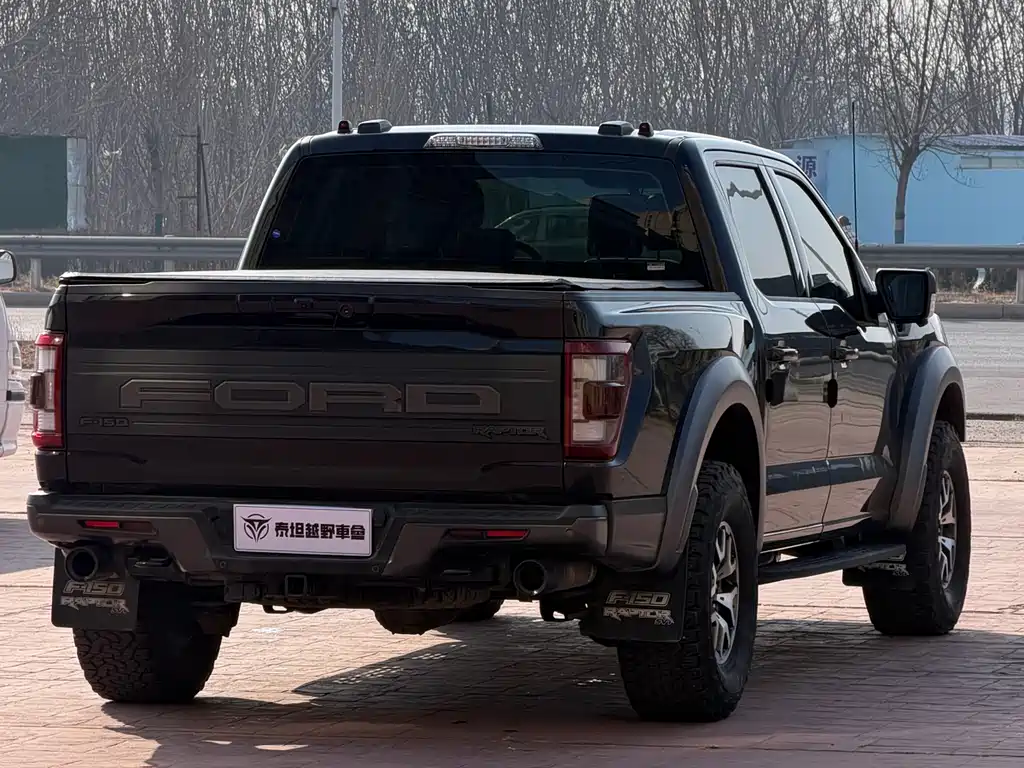 FORD F 150 RAPTOR