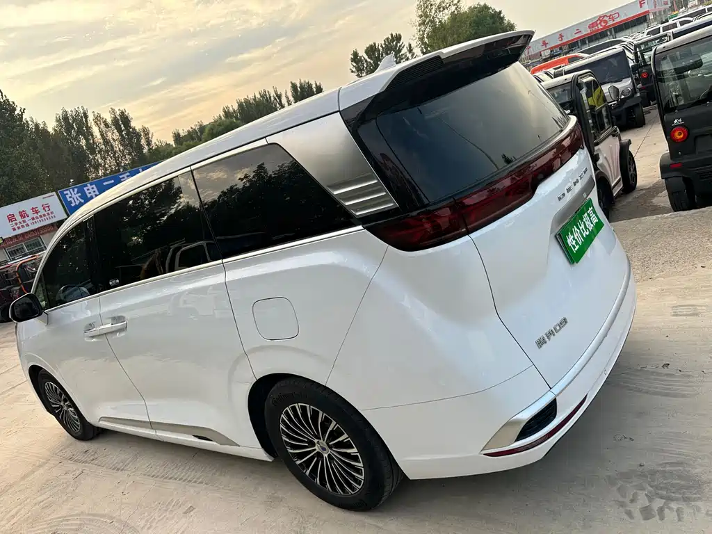 Denza Denza D9 — миниатюра 12