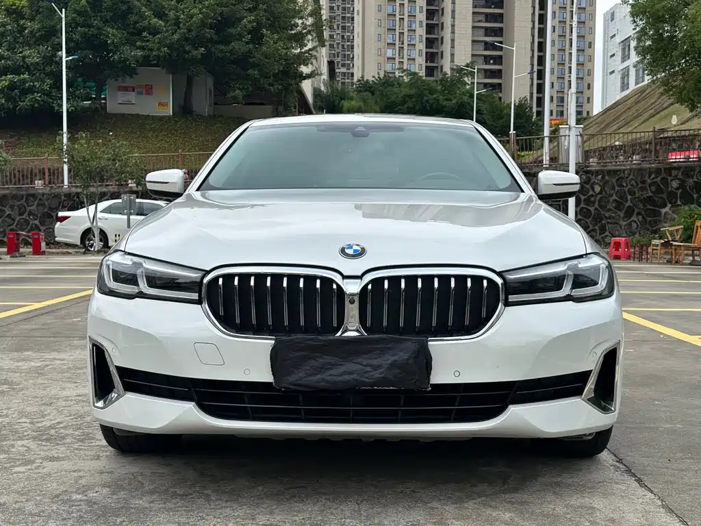 BMW 5 Series 5 2021 530Li Lead Luxury