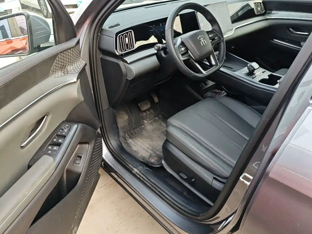 BYD Pro New Energy — миниатюра 16