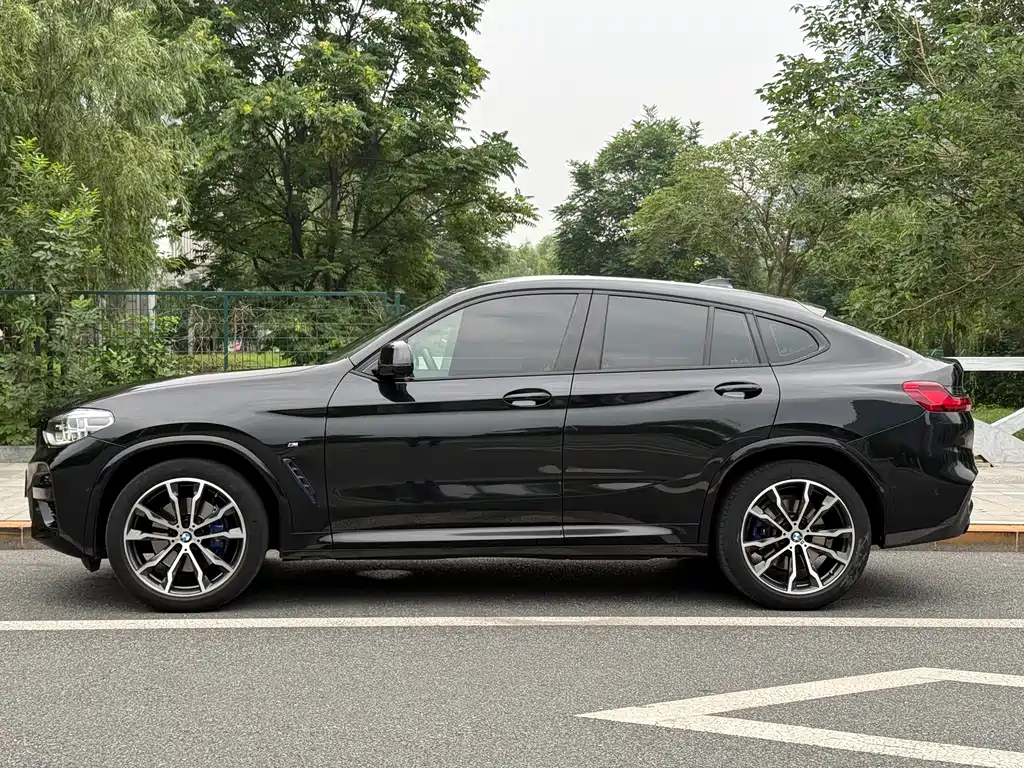 BMW X4 2020 xDrive25i