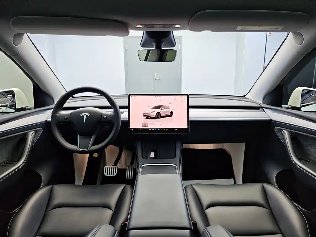 Tesla Model Y — миниатюра 11