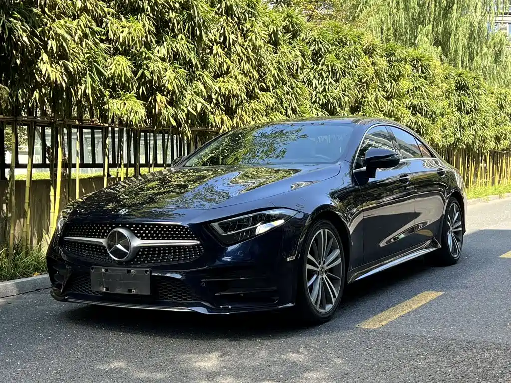 Mercedes-Benz CLS 2020 CLS 300
