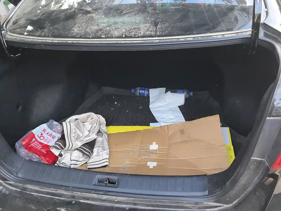 Nissan Sylphy — миниатюра 4