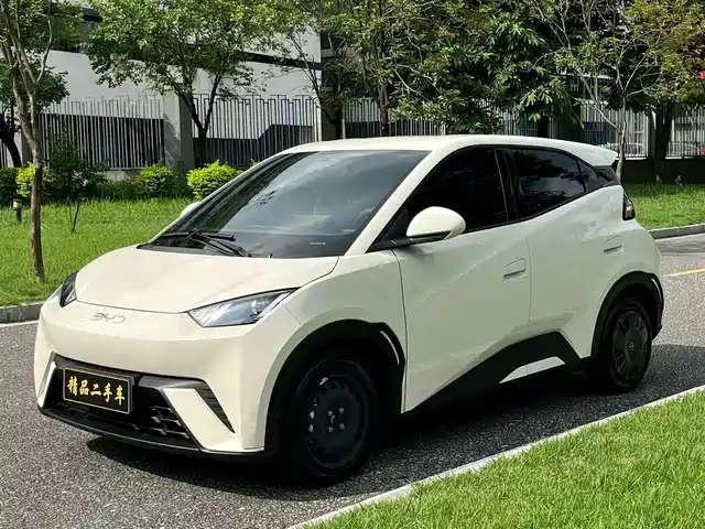 2024 BYD Seagull
