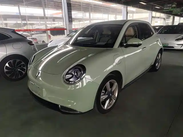 EULER  GOOD CAT 2023