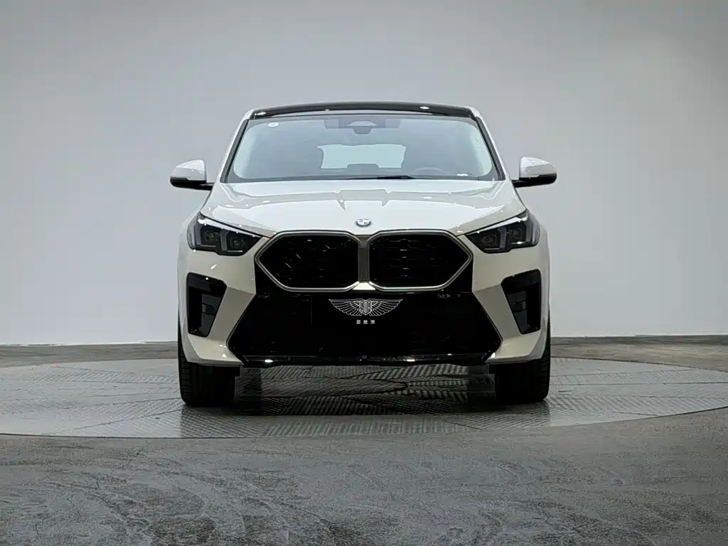 BMW X2 (Import) — миниатюра 2