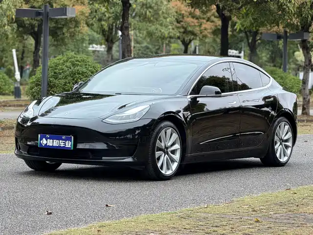 TESLA MODEL 3 2020