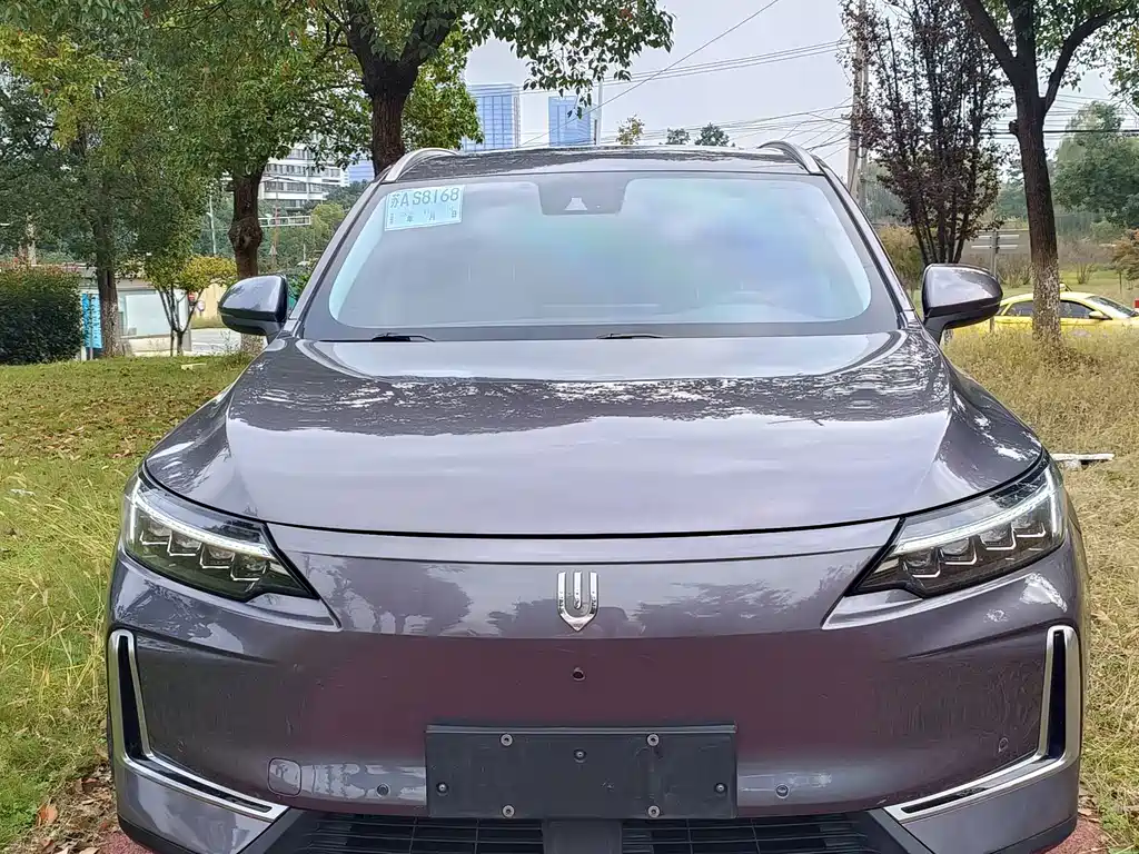 Skyworth EV6 — миниатюра 2
