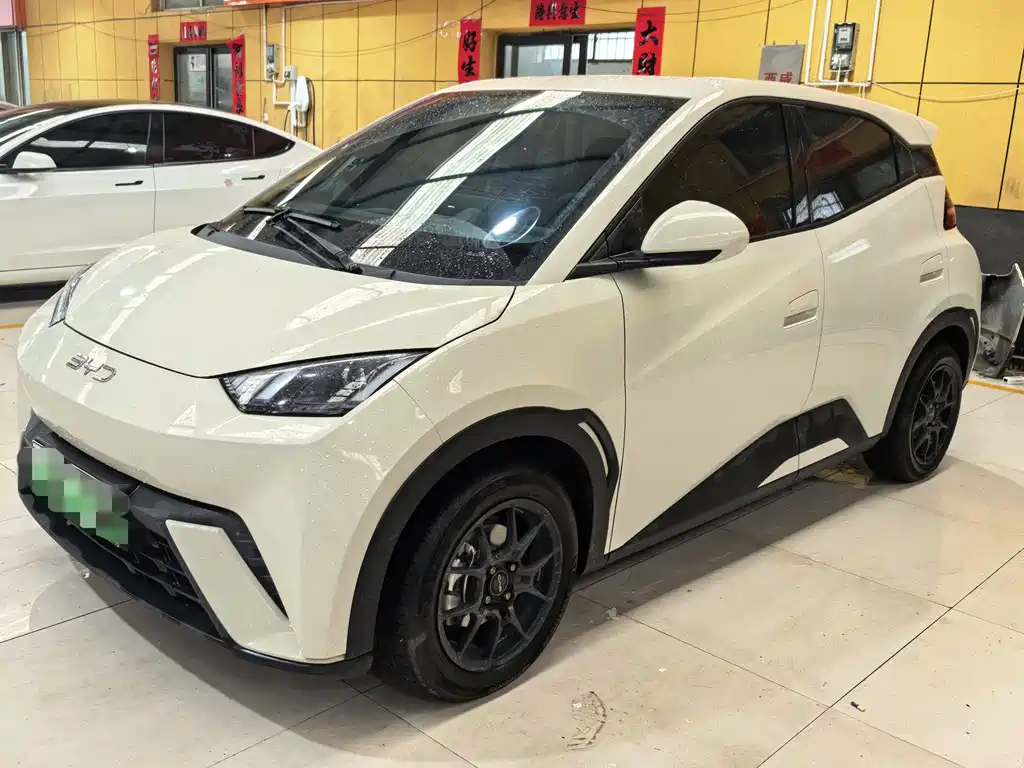 Byd Seagull 2025