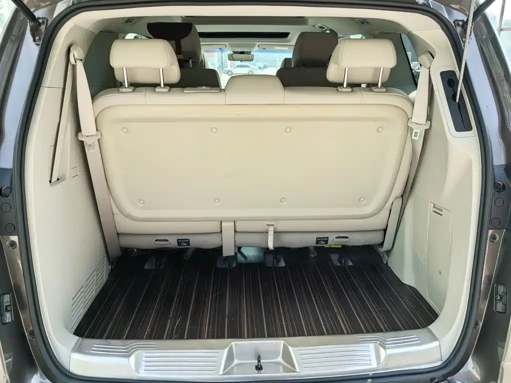 Buick GL8 — миниатюра 12