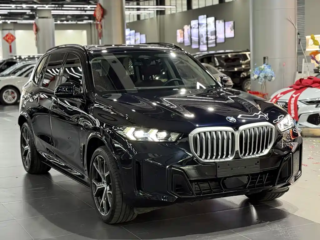 BMW X5 — миниатюра 3