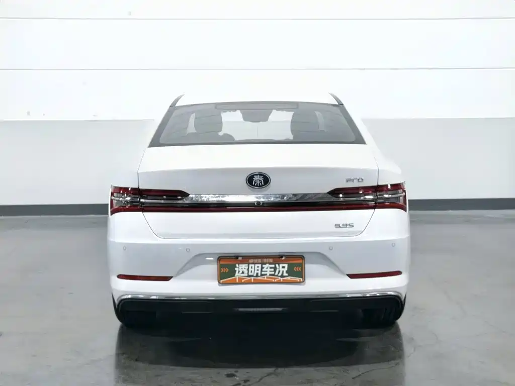 BYD Qin Pro NEV — миниатюра 4