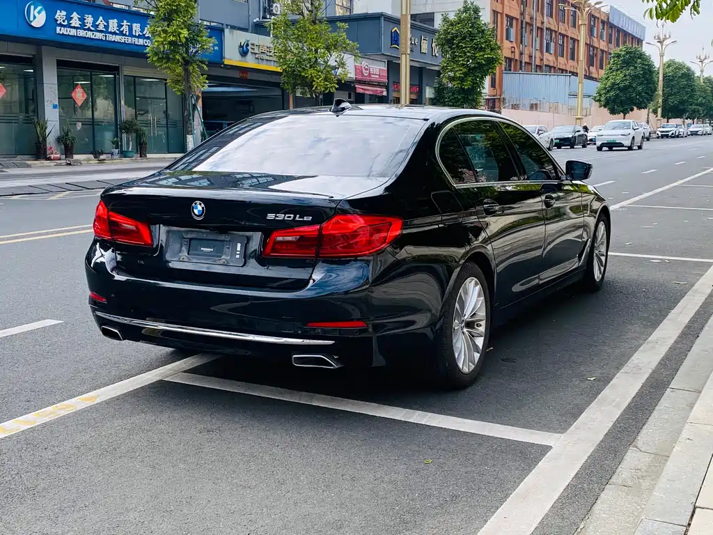 BMW 5 SERIES NEW ENERGY