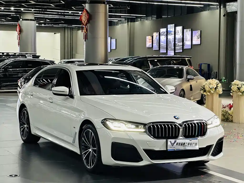BMW 5 Series — миниатюра 3