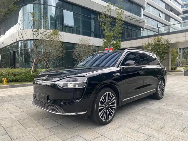 AITO ASK THE WORLD M9 2024