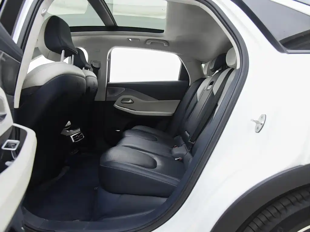 ARCFOX EXTREME FOX POLAR FOX ALPHA S